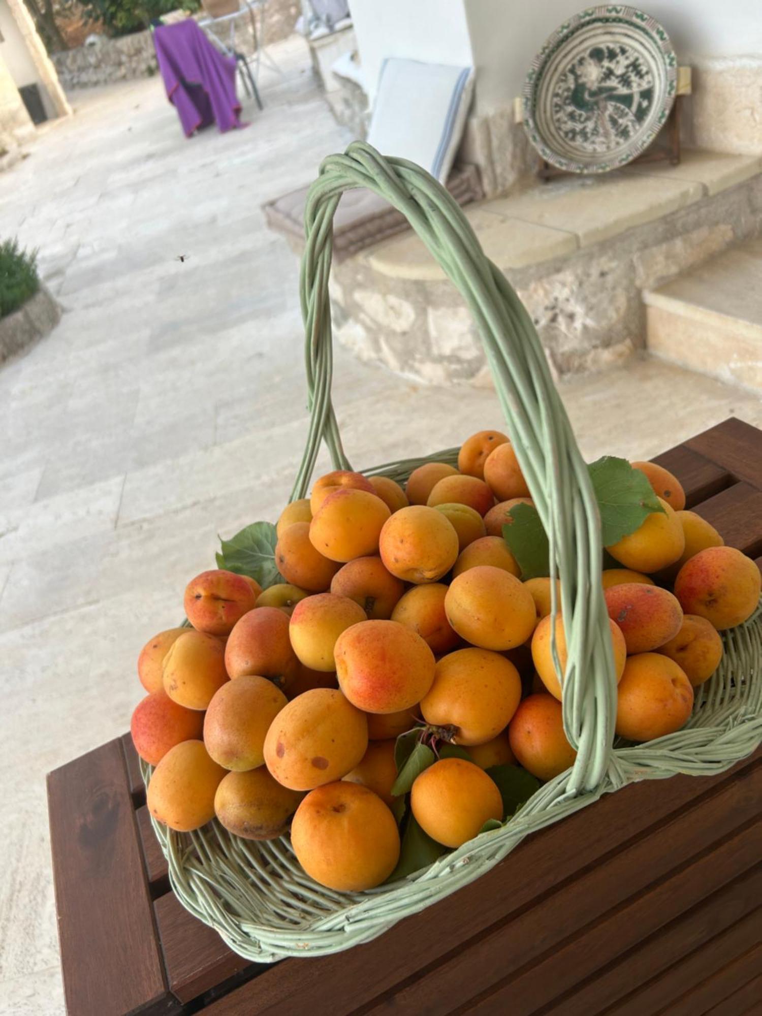 Il Trullo Di Simona Acomodação com café da manhã Locorotondo Exterior foto
