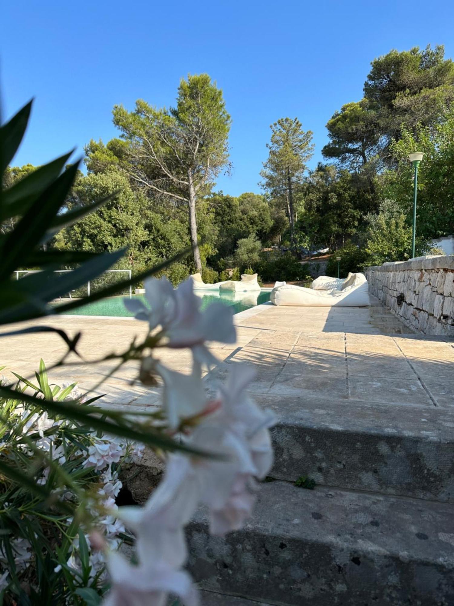 Il Trullo Di Simona Acomodação com café da manhã Locorotondo Exterior foto