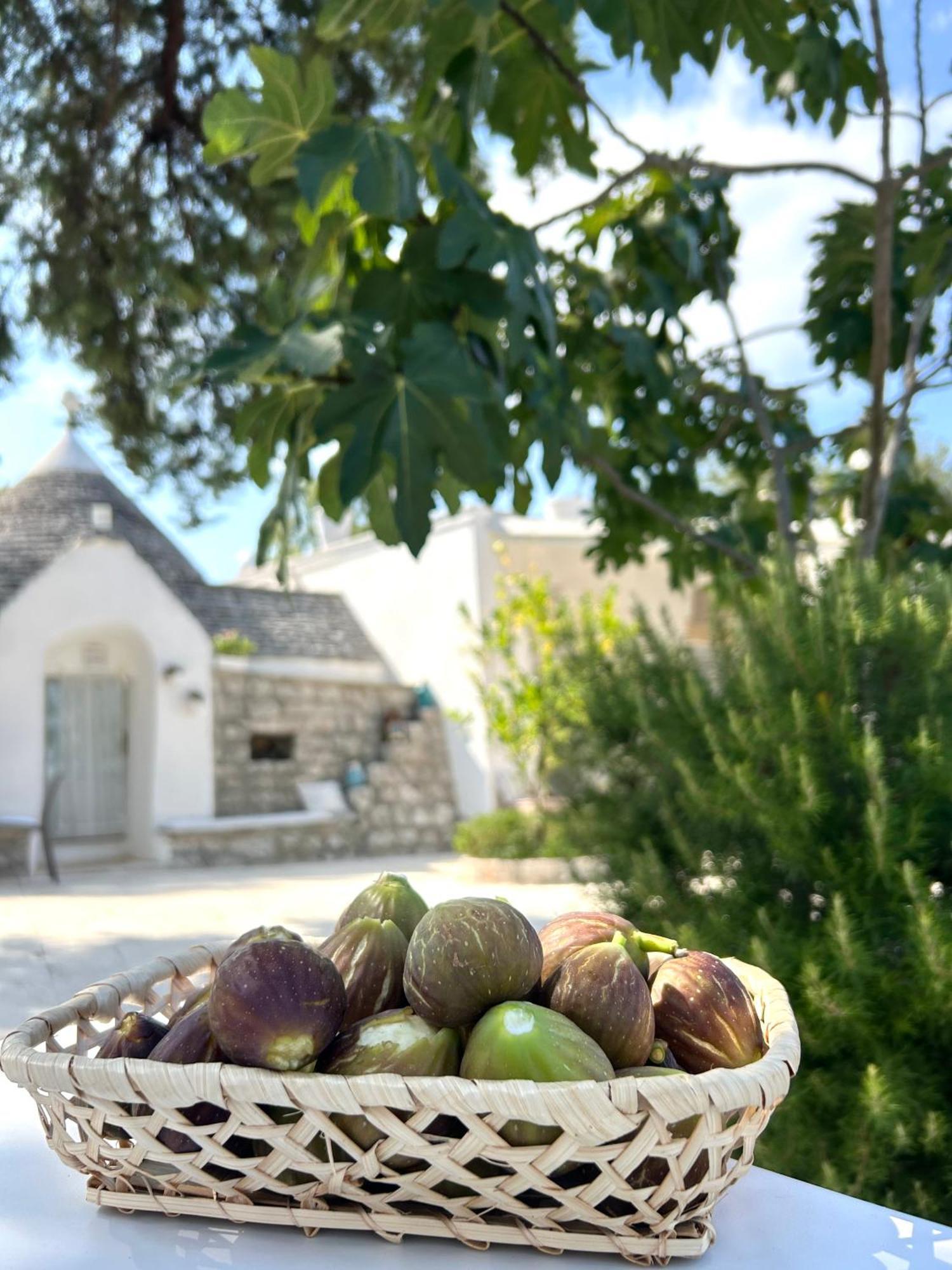 Il Trullo Di Simona Acomodação com café da manhã Locorotondo Exterior foto