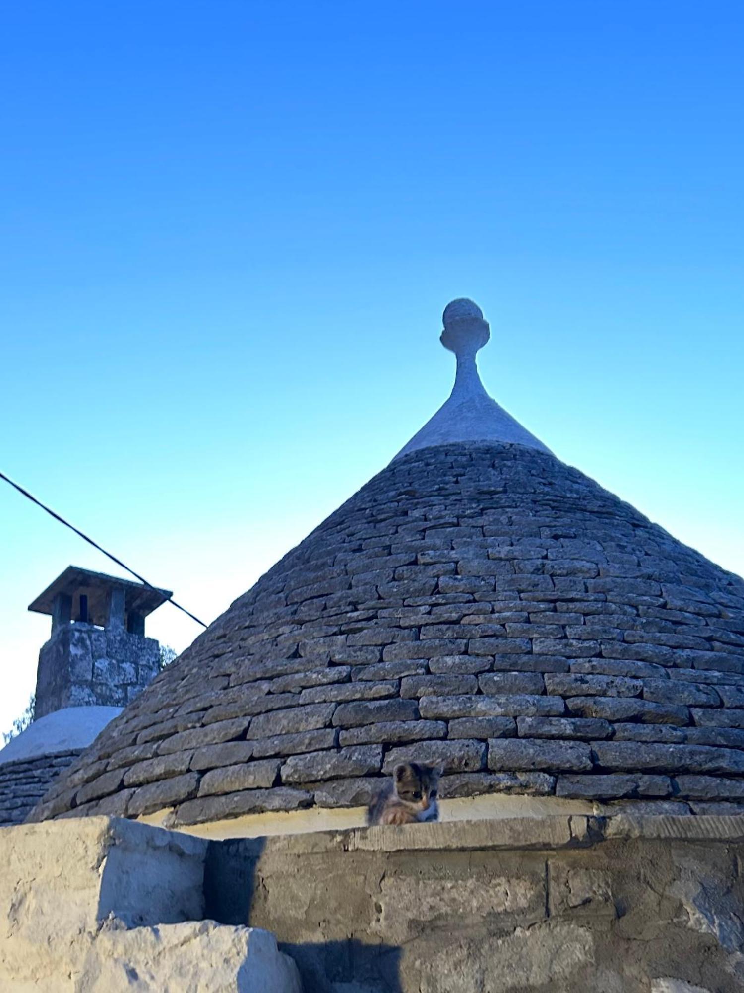 Il Trullo Di Simona Acomodação com café da manhã Locorotondo Exterior foto
